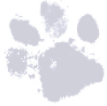 Paw print icon